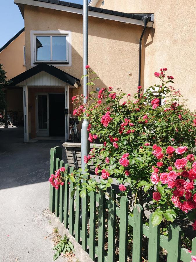 Birkagatan Vandrarhem Hostel Visby Ngoại thất bức ảnh